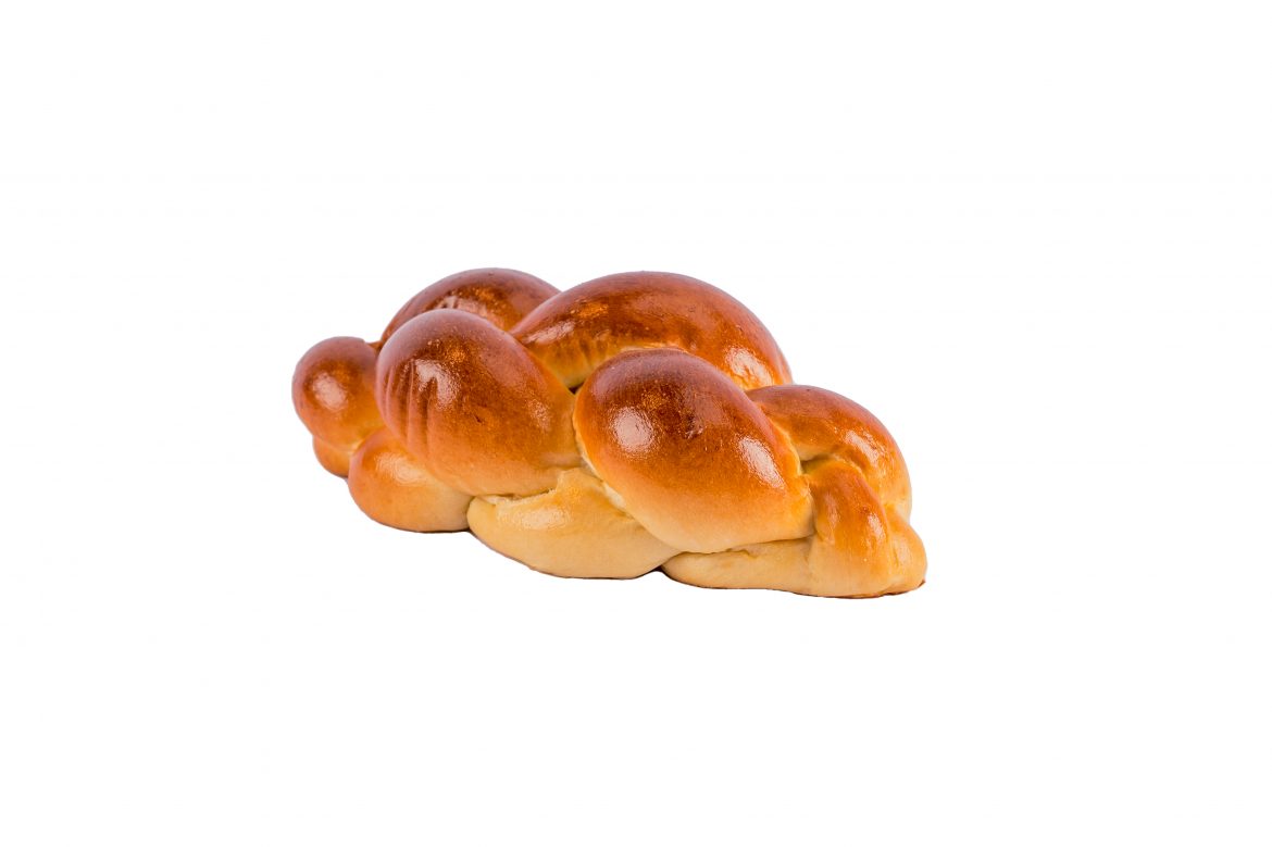 Medium Cholla